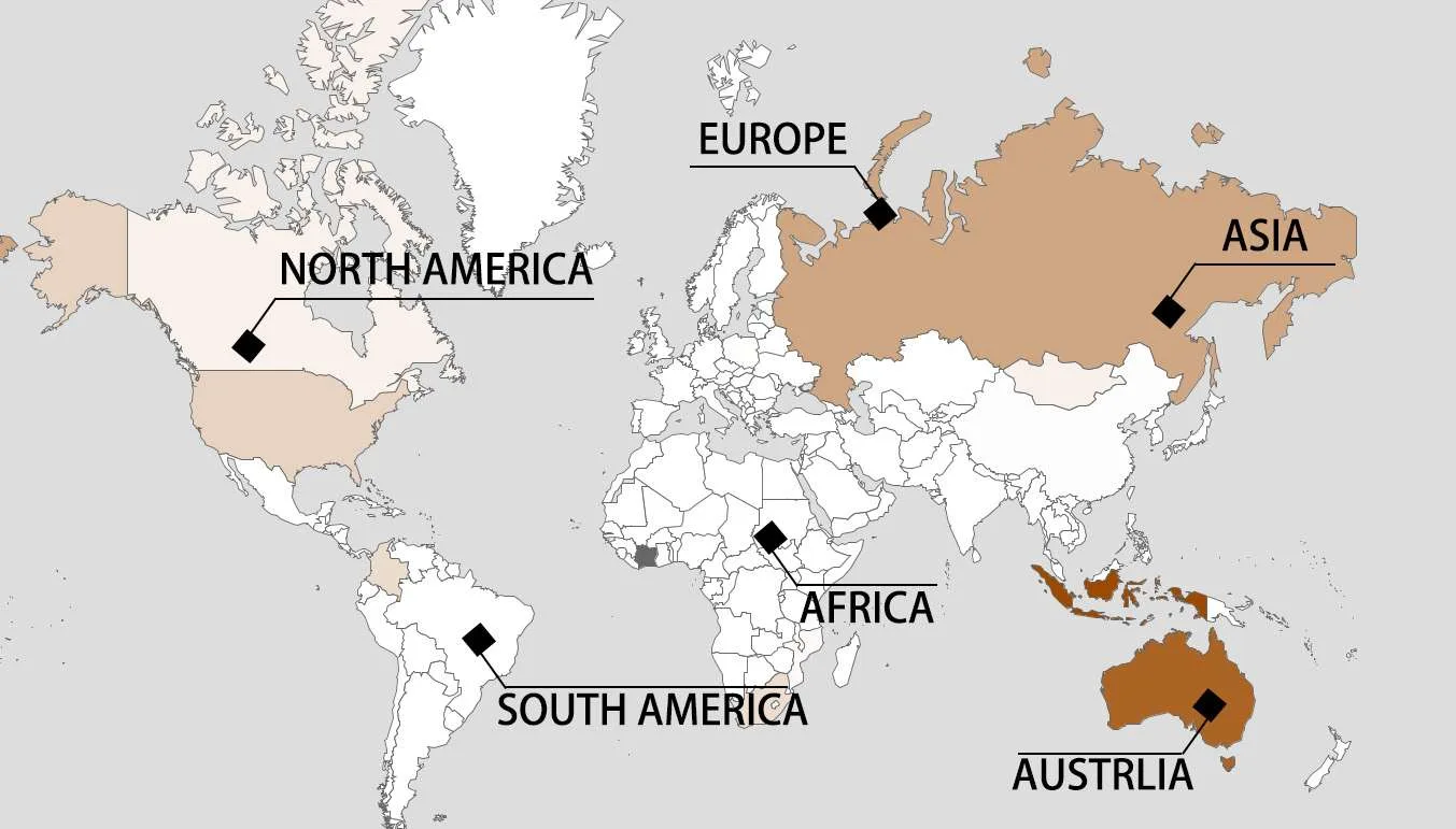 SINREEN Main exporting countries
