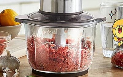 Analysis of the application advantages of electric meat grinders in the meat processing industry